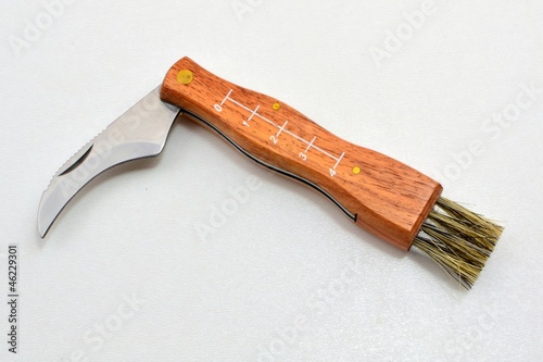 mushroom harvesting knife