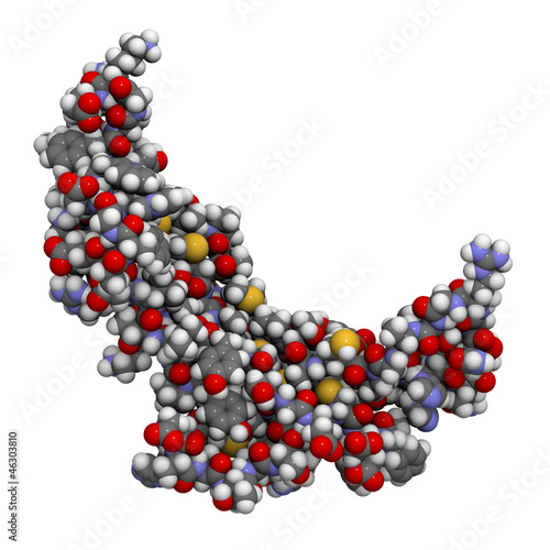 Myostatin (growth differentiation factor 8, GDF-8) molecule, che