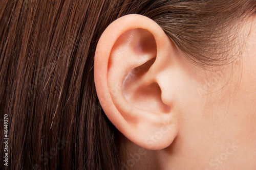 ear