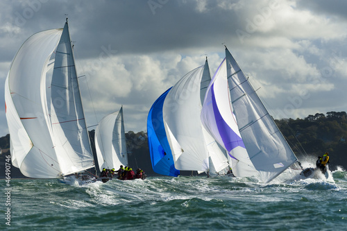 group yacht at regatta