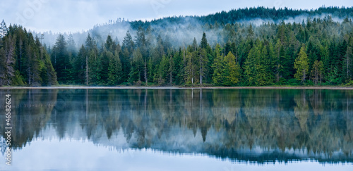 Perfect Reflection of Misty Forest in Lake