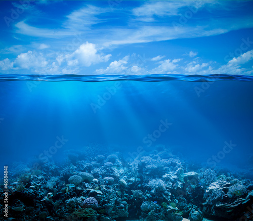 Underwater coral reef seabed view with horizon and water surface