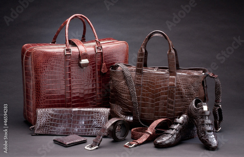 Set of products which made of crocodile leather