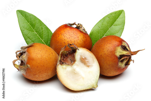 Medlar Fruit