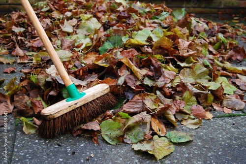 Pile of autumn leaves on backyard patio with sweeping brush