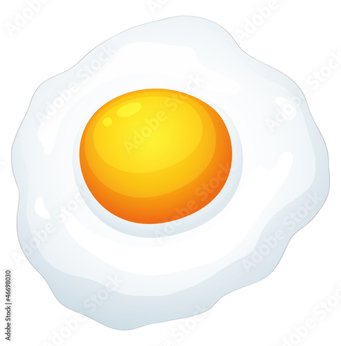an egg omlet