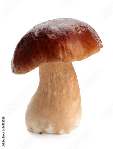 cep