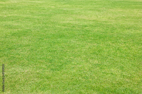 Green grass of football field.