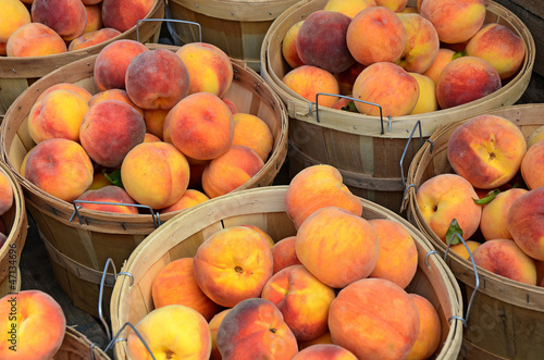 peaches in bushel baskets