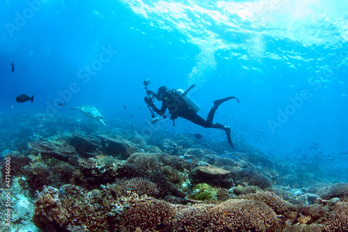 Underwater photographer on a coral reef