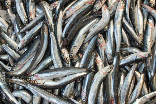 Anchovies on the fish market