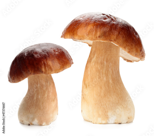 cep