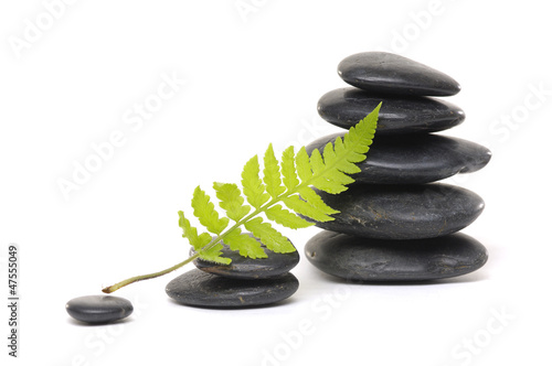 fern leaf with spa stones in perfect balance,