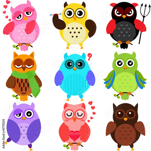 Set of Colorful Owls with different characters