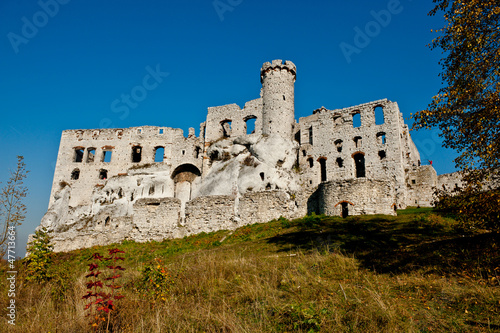 Zamek Ogrodzieniec