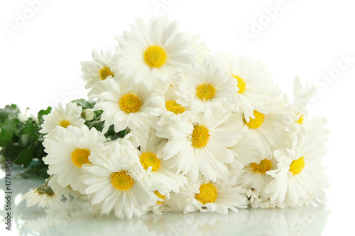 bouquet of beautiful daisies flowers, isolated on white
