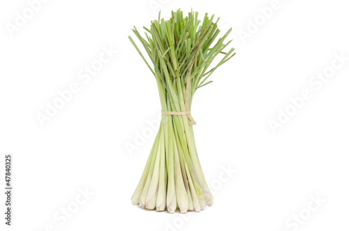 Bundle of Fresh Lemon Grass on white background