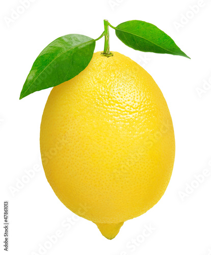 Isolated lemon. One lemon fruit with leaves isolated on white background