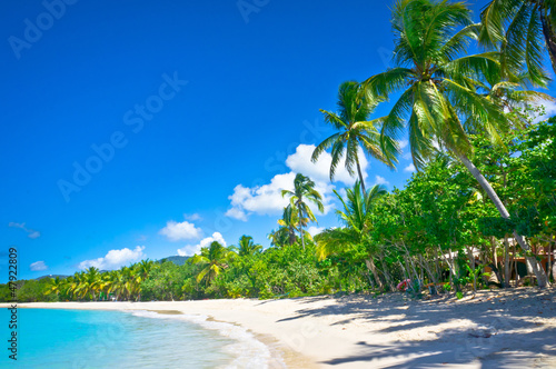 Beautiful beach in Saint Lucia, Caribbean Islands