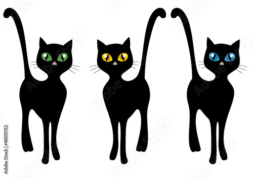 Gatti neri stilizzati con grandi occhi realistici colorati
