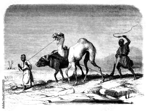 Traditional arabian Peasants - Laboureurs