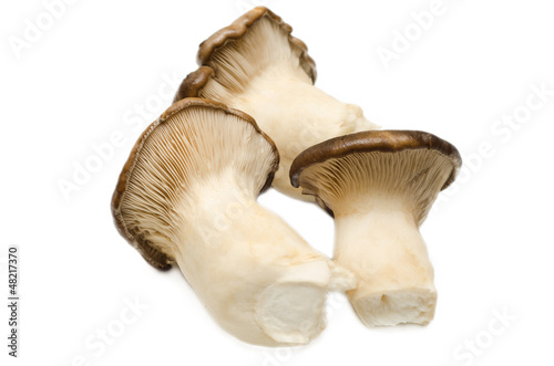 Funghi cardoncelli