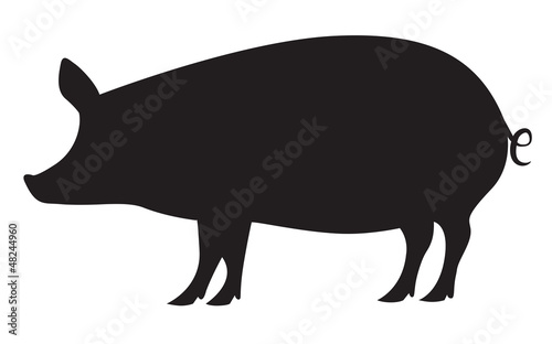 Pig silhouette isolated on white