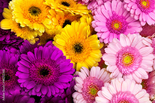 Bouquet of lilac, pink and yellow gerberas.