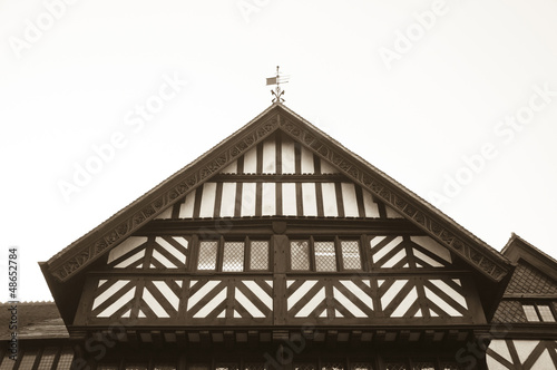 Tudor Abstract Windows