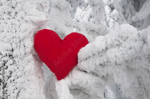 Lonely heart on snow