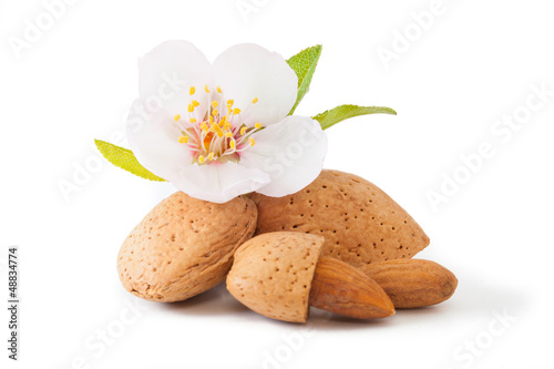 Almond with flower
