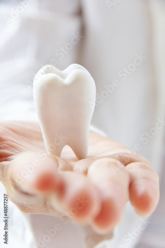 dentist holding molar ,dental concept