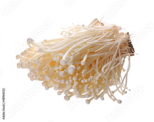enoki mushrooms isolated on white