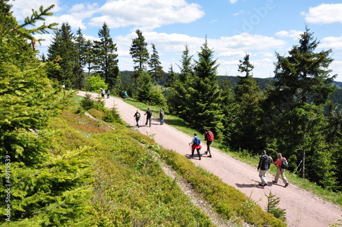 Wandern im Thüringer Wald