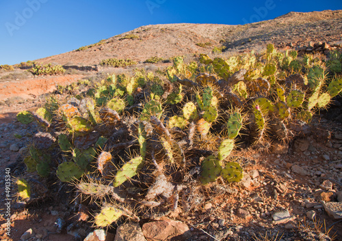 Fuerteventura, Tindaya