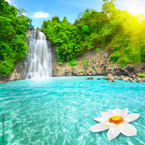 Lotus flower in waterfall pool