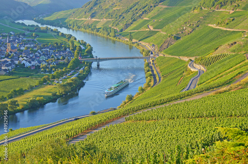 Flusskreuzfahrtschiff auf der Mosel bei Trittenheim