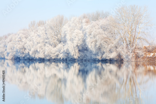 frozen lake and trees
