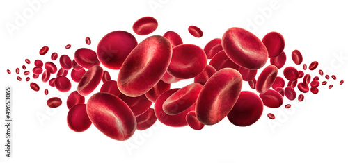 Rote Blutkörperchen vor Weiss 2