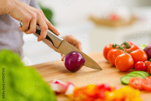 Closeup on housewife cutting red onion