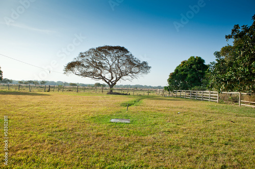 los llanos1