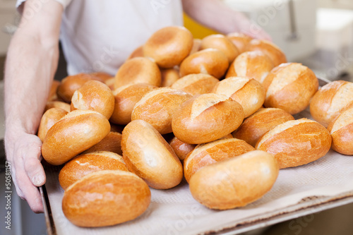 frische brötchen auf dem backblech