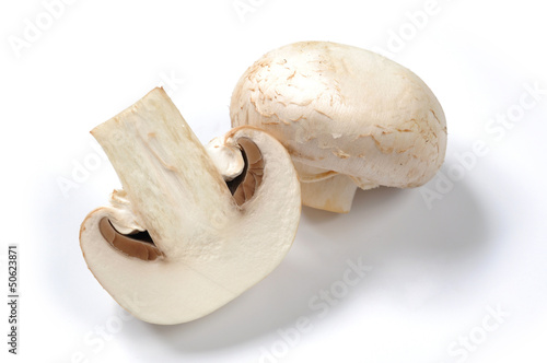 Mushrooms isolated