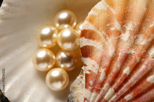 Scattering white pearls in seashell on pebbles