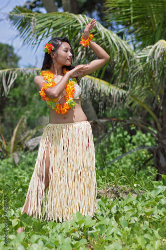 hawaii hula dancer