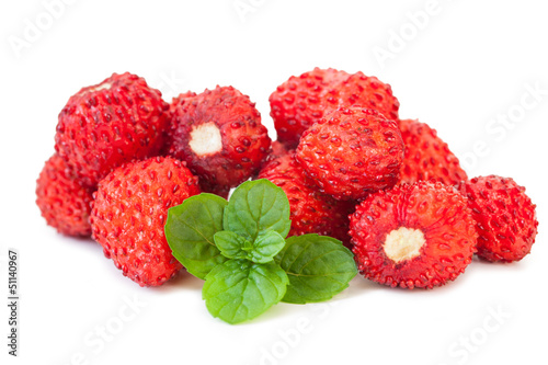 Strawberries_Fragaria vesca