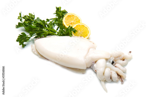 fresh cuttlefish