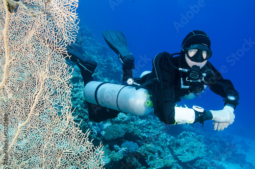 scuba diver with big fan coral in the ocean