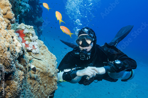 side mount scuba diver looks at fish in the ocean