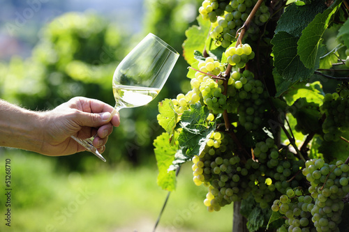 Glass of white Wine (Riesling) and riesling grapes